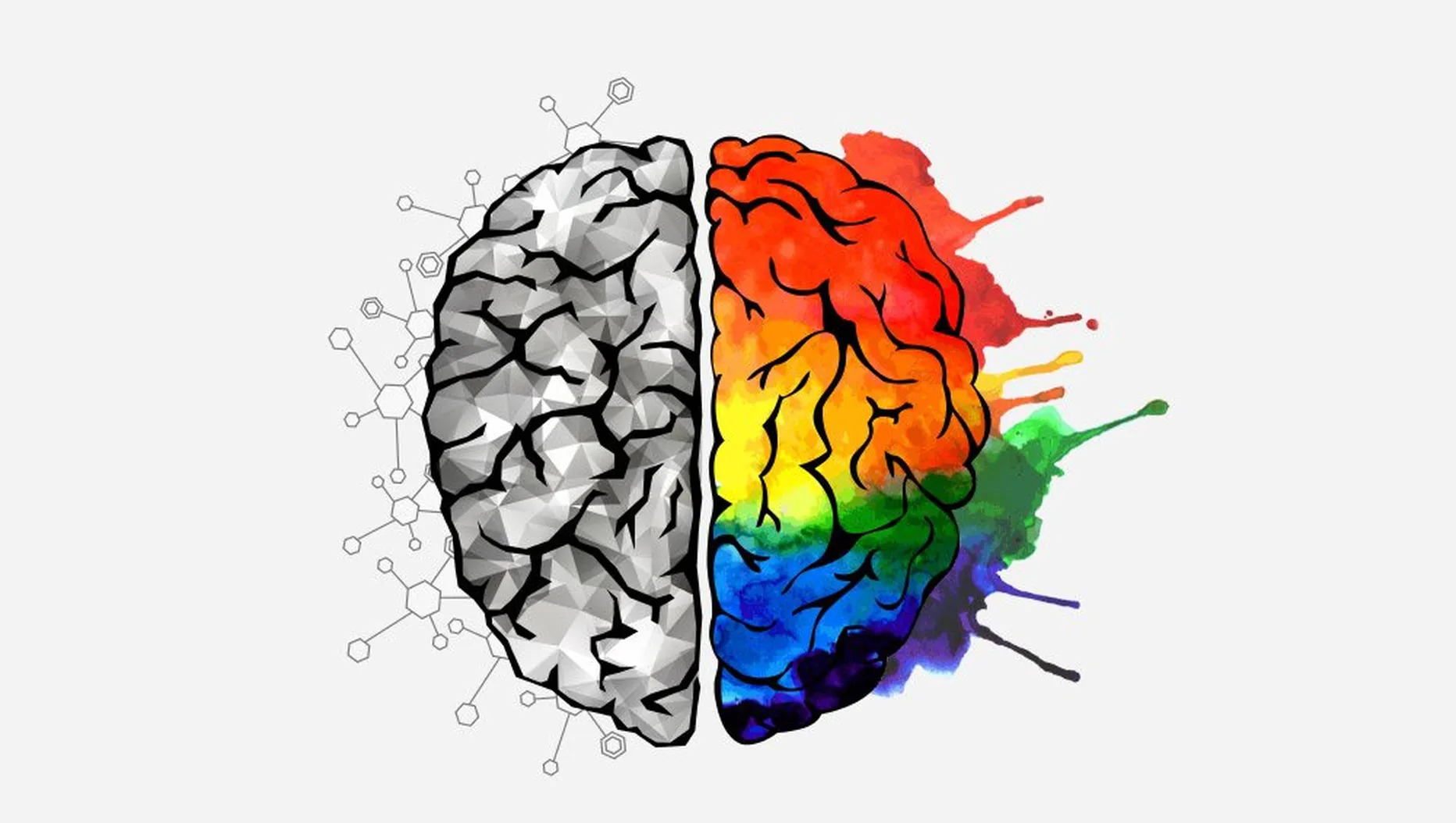 brain, where the left hemisphere is gray and the right hemisphere is rainbow